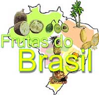 Conheça as Frutas do Brasil !!!
